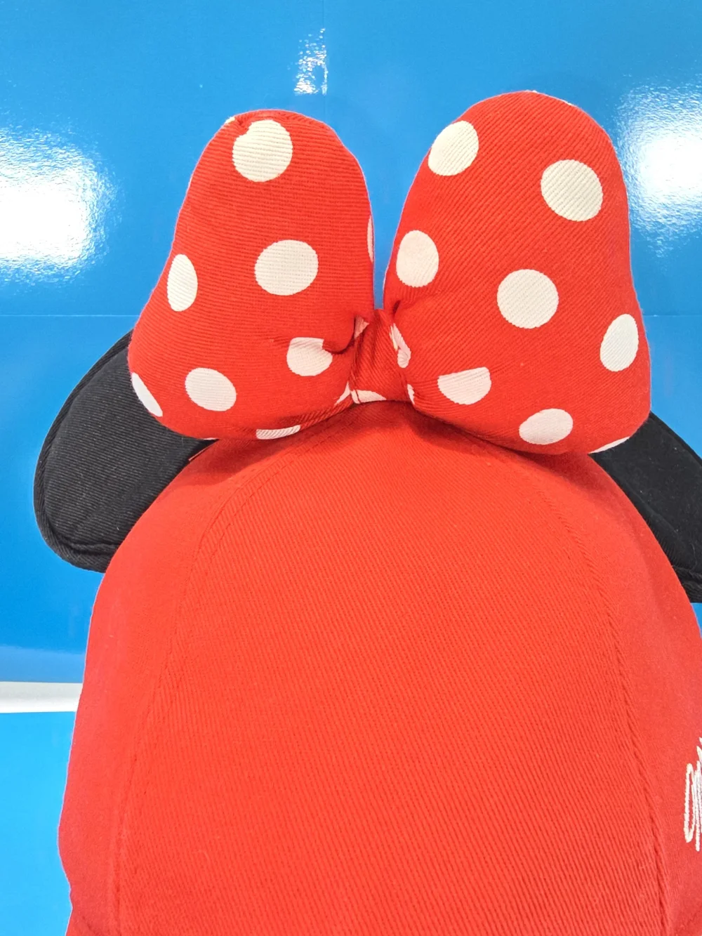 Disney parks minnie